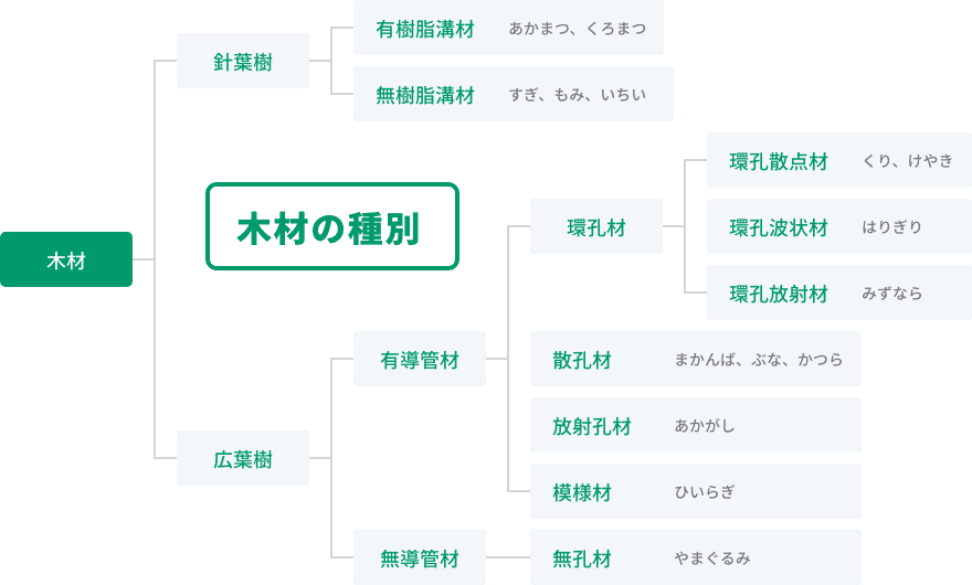 木材の種別